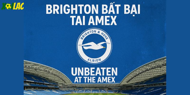 Brighton bất bại tại Amex – liệu họ có tiếp tục gây khó. Brighton bất bại tại Amex – liệu họ có tiếp tục gây khó.