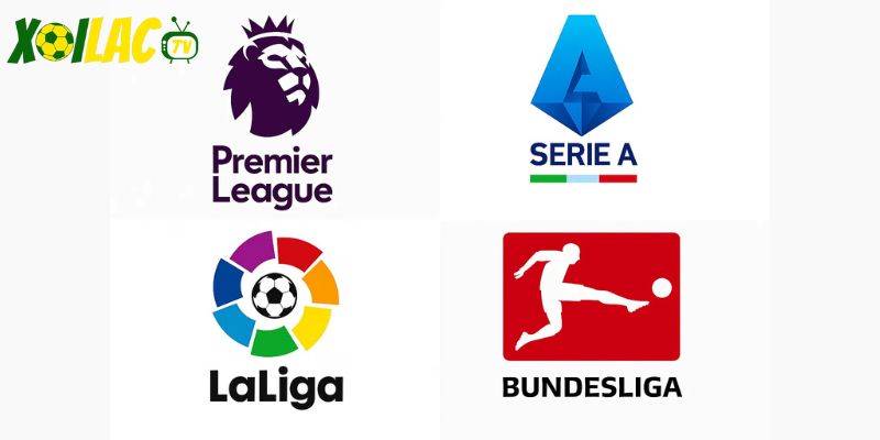 Cập nhật kết quả từ mọi giải đấu hàng đầu. Cập nhật kết quả từ mọi giải đấu hàng đầu.