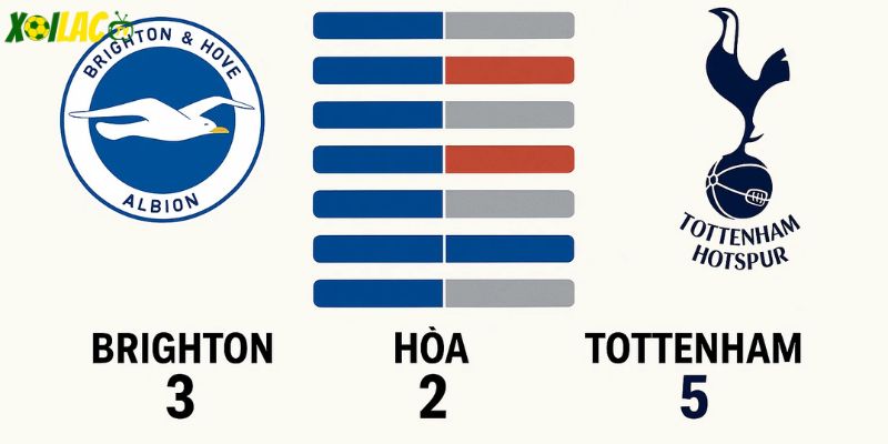 Lịch sử Brighton vs Tottenham – Spurs chiếm ưu thế nhưng Brighton ngày càng khó lường. Lịch sử Brighton vs Tottenham – Spurs chiếm ưu thế nhưng Brighton ngày càng khó lường.